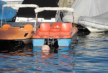 Treetboote Wasser Sommer Bodensee